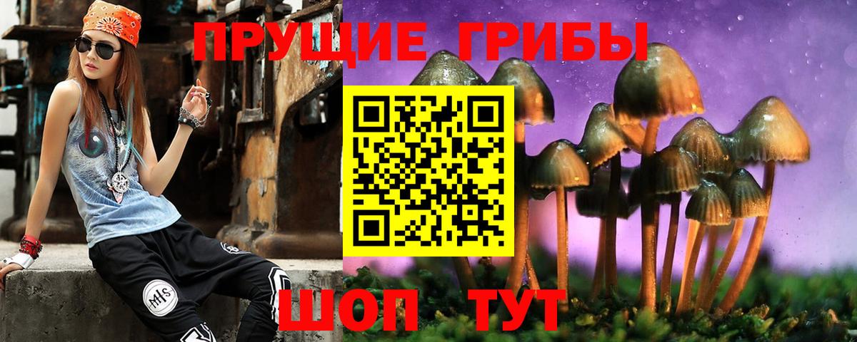 Галлюциногенные грибы GOLDEN TEACHER  цена   Вход с VPN  Ленинск-Кузнецкий  Псилоцибиновые грибы Psilocybe 